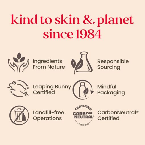 Burt's Bees Gifts Ideas - Essential Everyday Beauty Set, 5 Travel Size Products - Deep Cleansing Cream, Hand Salve, Body Lotion, Foot Cream and Lip Balm - Image 8