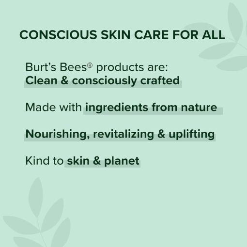 Burt's Bees Gifts Ideas - Essential Everyday Beauty Set, 5 Travel Size Products - Deep Cleansing Cream, Hand Salve, Body Lotion, Foot Cream and Lip Balm - Image 13